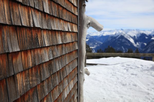 Cost of Cedar Siding Repair in Newark