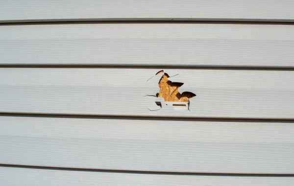 Cost of Siding Hole Patching in Newark