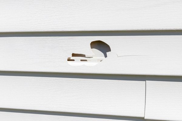 Cost of White Vinyl Siding Repair in Newark