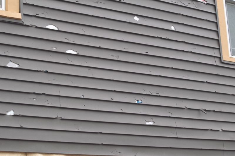 Siding Repair Projects